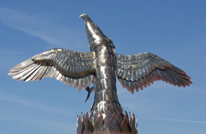 Firebird back