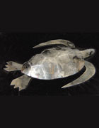 Steel Turtle