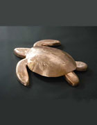 Copper Turtle